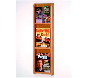 3 Magazine/6 Brochure Acrylic & Oak Wall Display