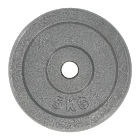 Hammerstone Iron Plates - 5kg