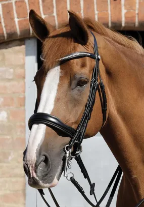 PEI Abriano Anatomic Double Bridle